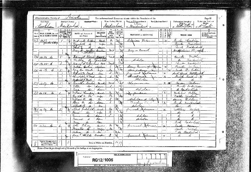 Billinghurst (Mary Ann nee Rippington) 1891 Census